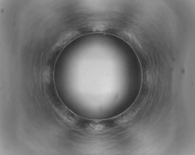 X0000090500311200707131358