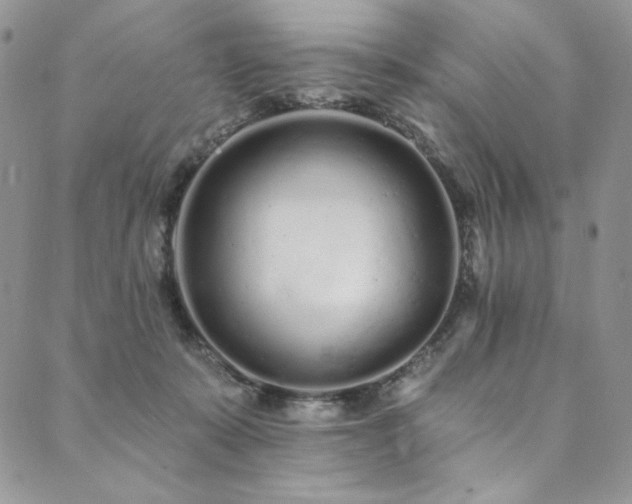 X0000090500319200707131358