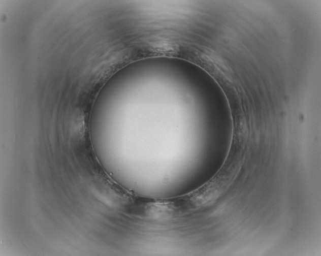 X0000090500320200707131358