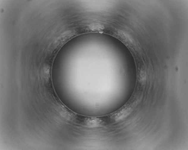 X0000090500321200707131358