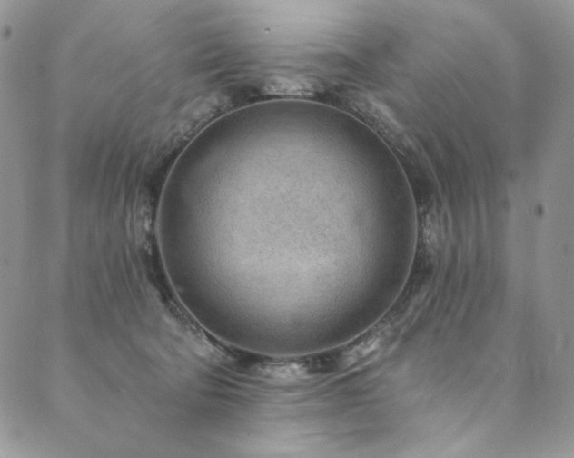 X0000090500322200707131358