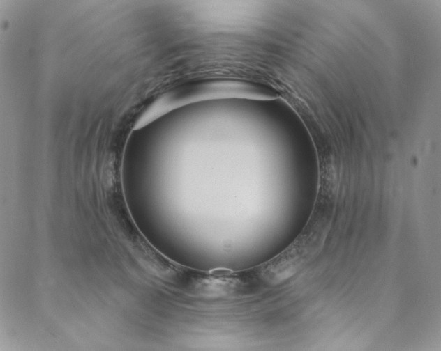 X0000090500323200707131358