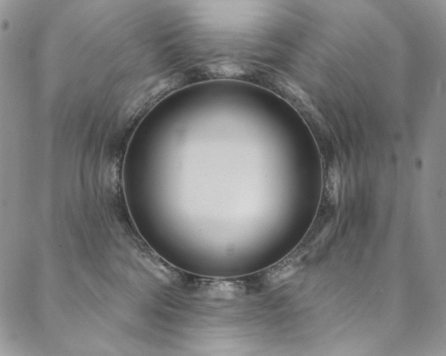 X0000090500330200707131358