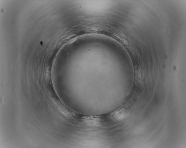 X0000090500331200707131358