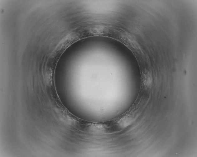 X0000090500332200707131358