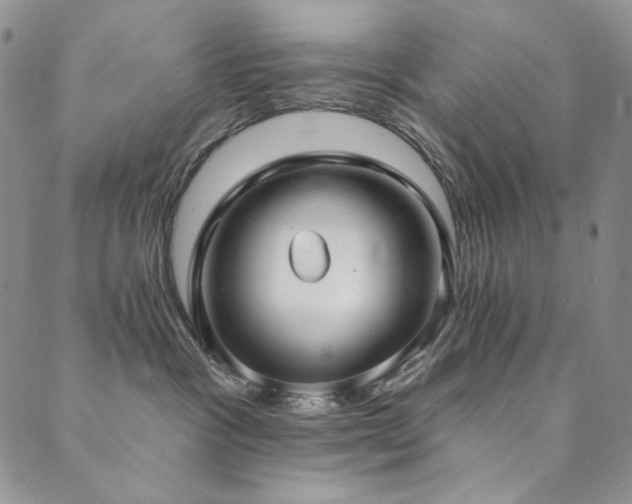X0000090500333200707131358