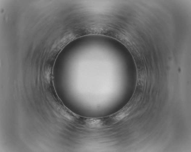 X0000090500334200707131358