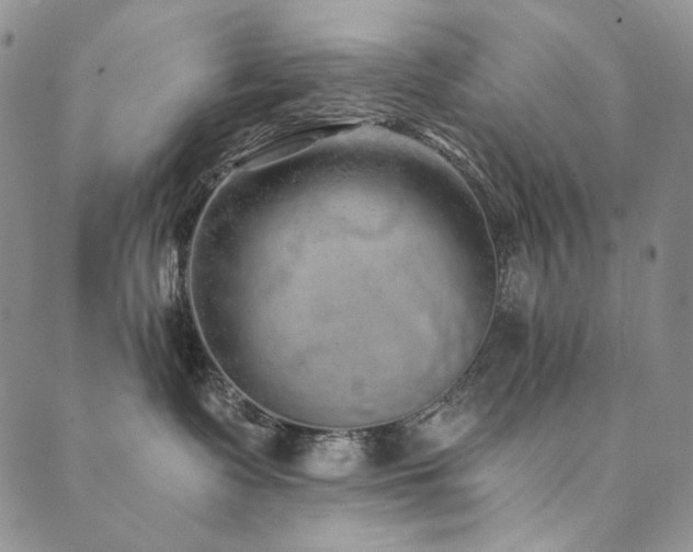 X0000090500335200707131358
