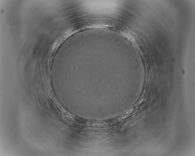 X0000090500337200707131357