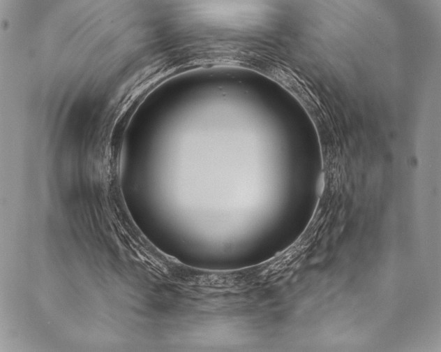 X0000090500338200707131357
