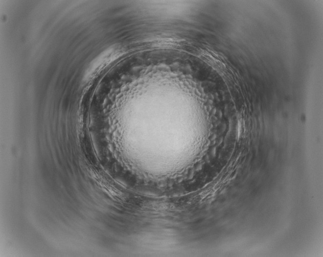 X0000090500339200707131357
