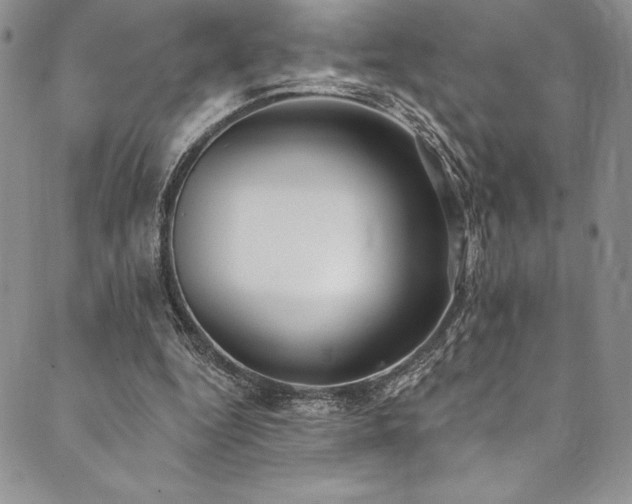 X0000090500344200707131357