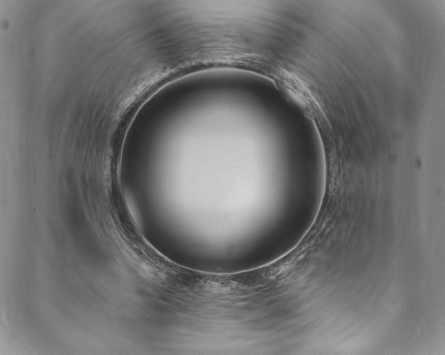 X0000090500346200707131357