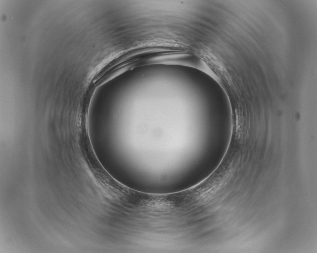 X0000090500348200707131357