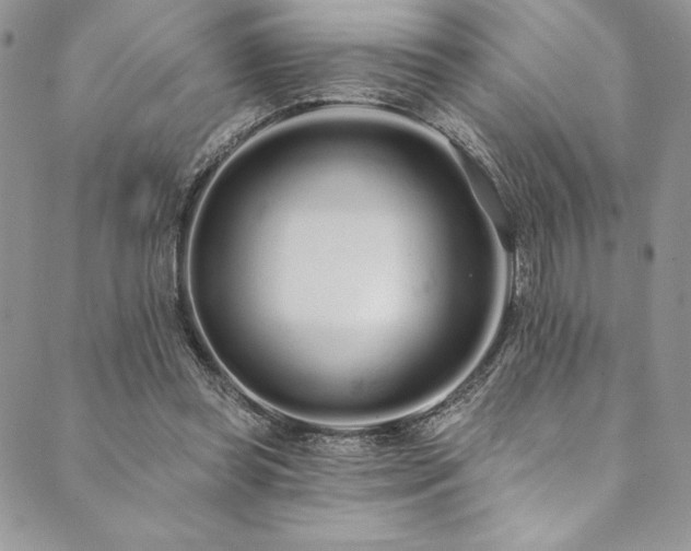 X0000090500349200707131358