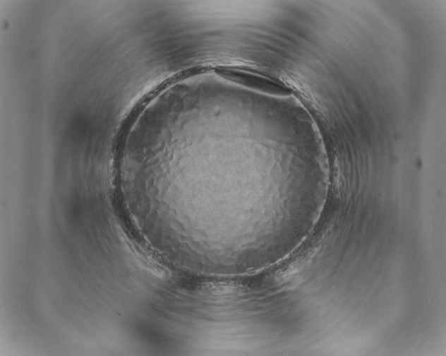 X0000090500351200707131358