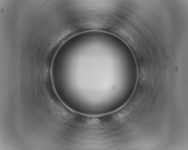 X0000090500355200707131358