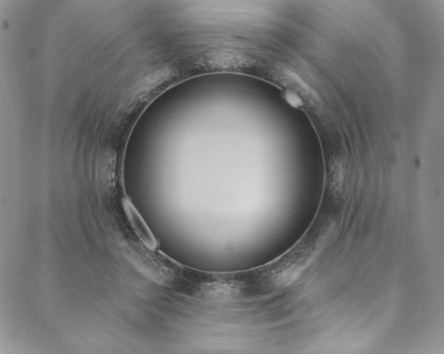 X0000090500356200707131358