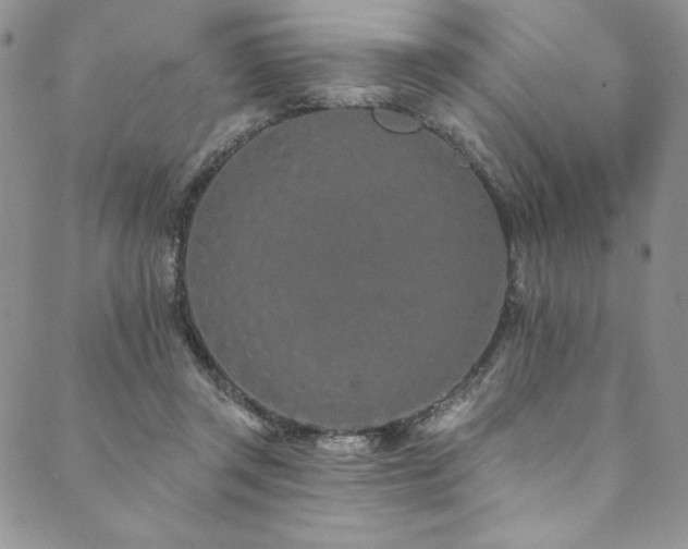 X0000090500357200707131358