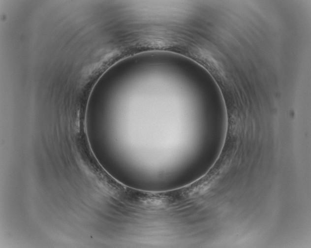 X0000090500358200707131358