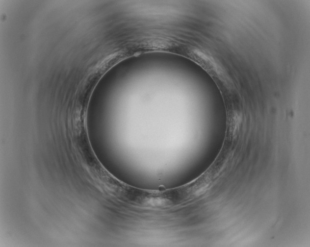 X0000090500360200707131358