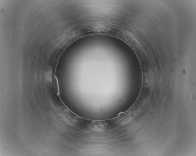 X0000090500368200707131358