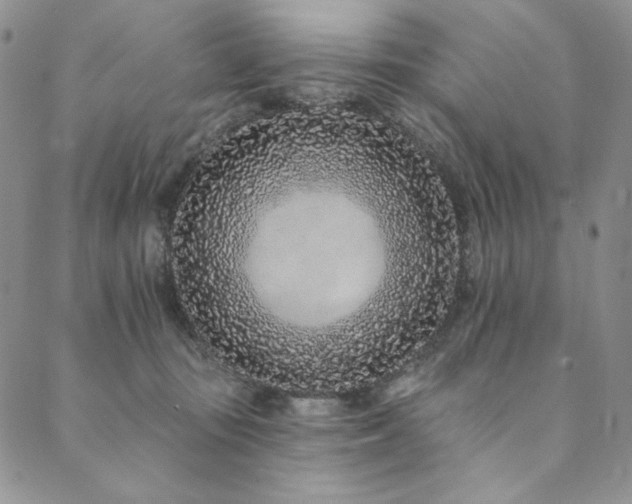 X0000090500371200707131358