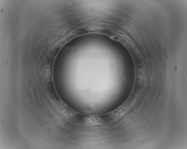 X0000090500372200707131358
