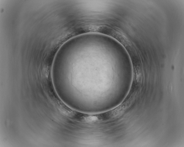 X0000090500374200707131358