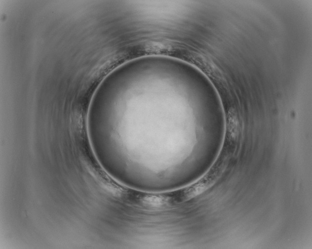 X0000090500375200707131358