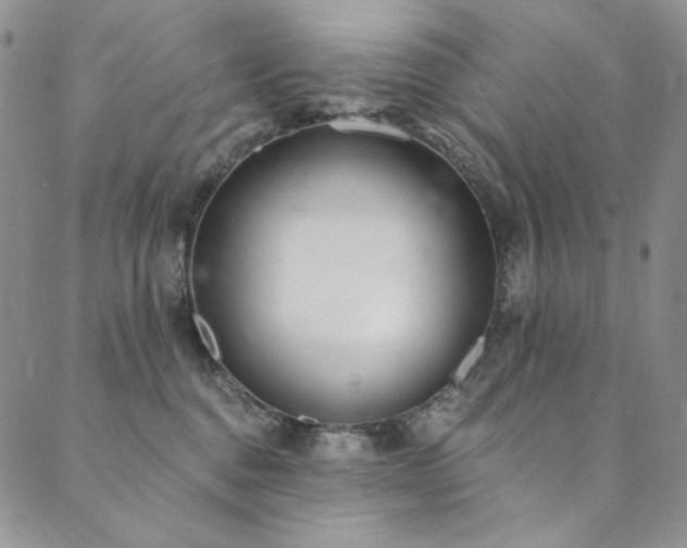 X0000090500376200707131358