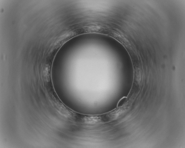 X0000090500378200707131358