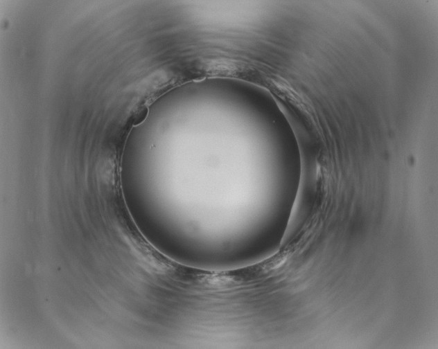 X0000090500379200707131358