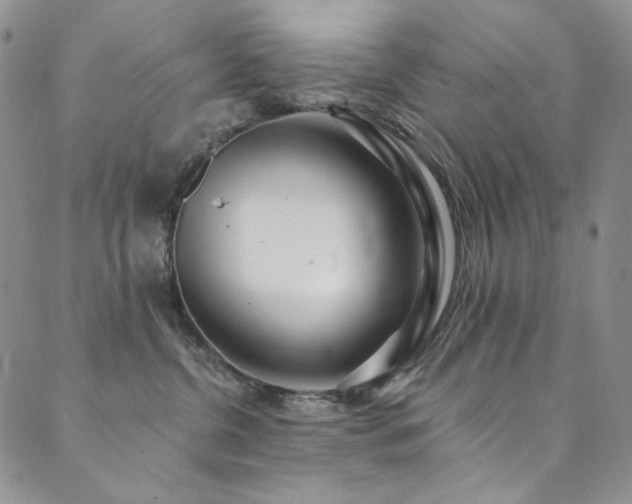X0000090500380200707131358