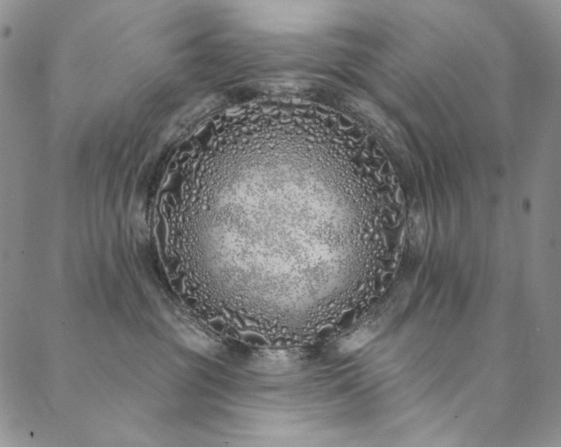 X0000090500381200707131358