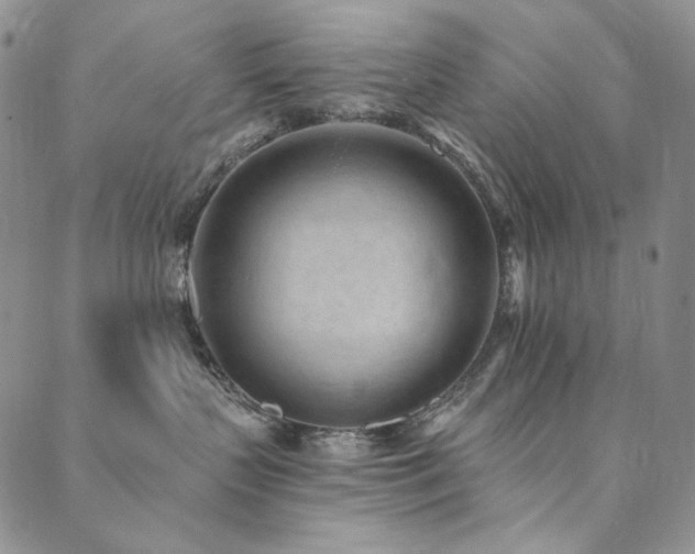 X0000090500383200707131358