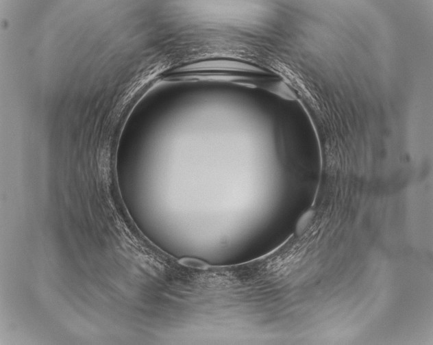 X0000090500386200707131357