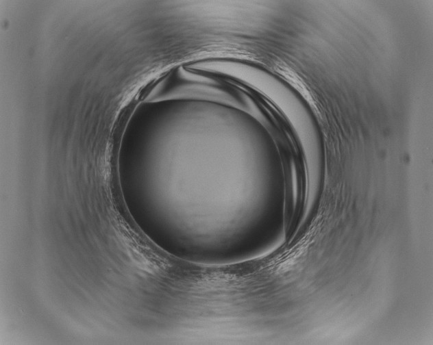 X0000090500387200707131357