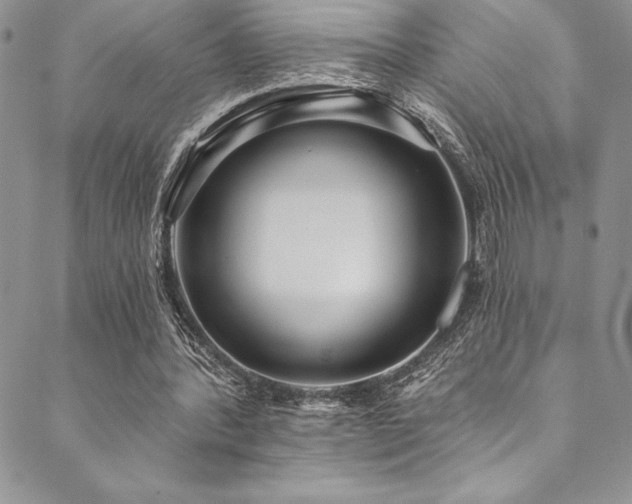 X0000090500388200707131357