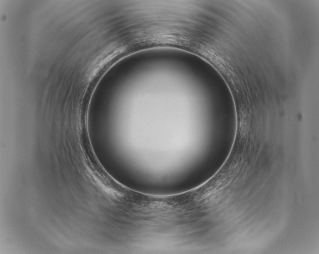 X0000090500390200707131357