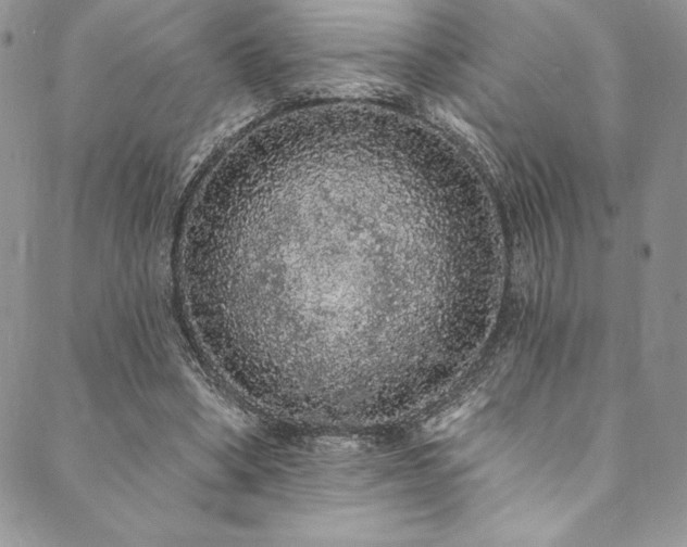 X0000090500394200707131357