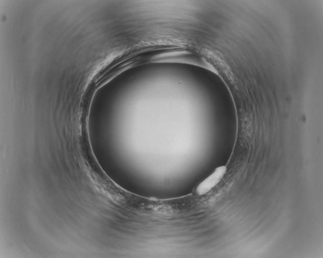 X0000090500395200707131357