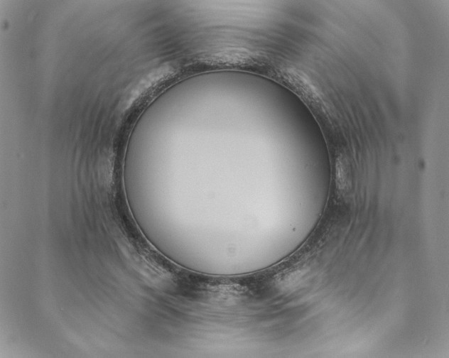 X0000090500396200707131357