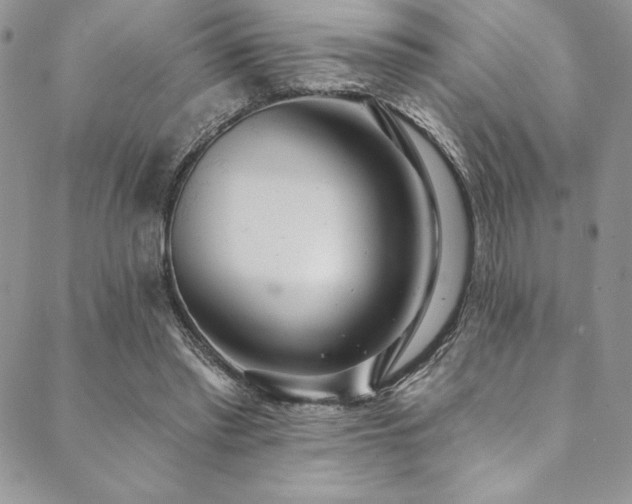 X0000090500397200707131357