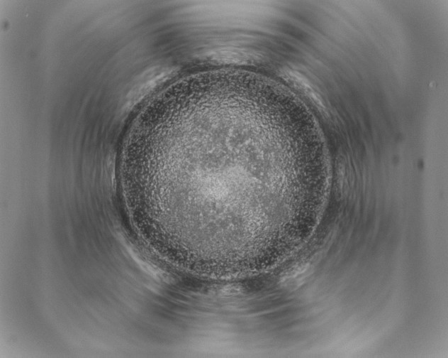 X0000090500398200707131357