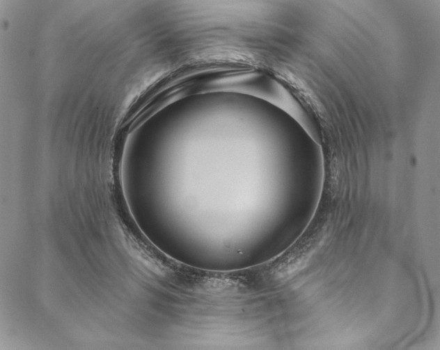 X0000090500399200707131357