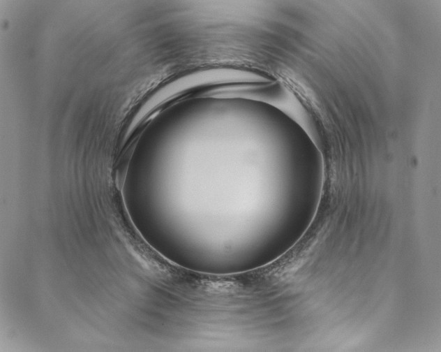 X0000090500401200707131357