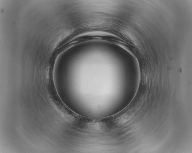 X0000090500404200707131357