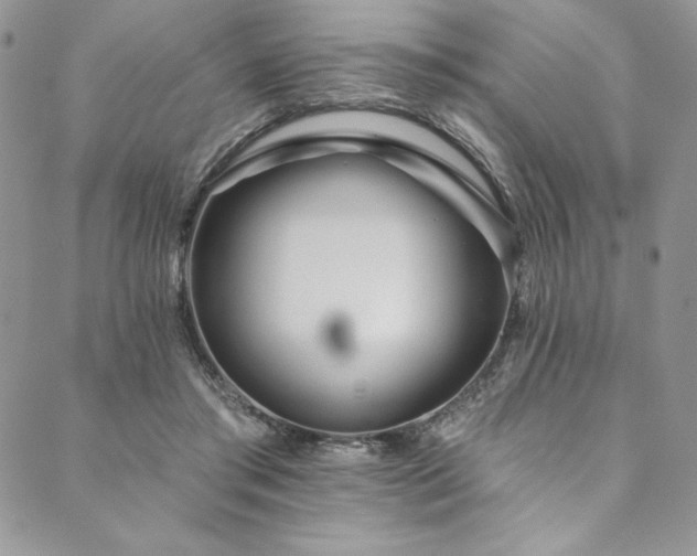 X0000090500405200707131357