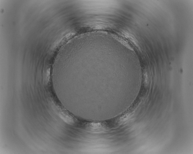 X0000090500406200707131357